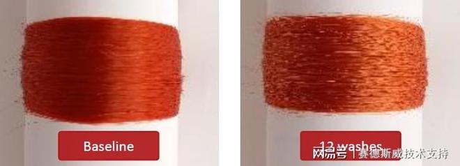 凯发k8娱乐官网app头皮产品功效检测大